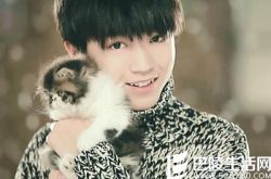 王俊凯的圈中好友有谁 奶源《树读》蝉联百度音乐新歌榜冠军 