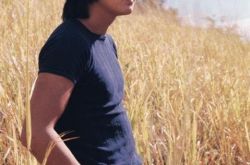 许冠杰日本娃娃歌词鉴赏 歌神的歌你都听过了吗 