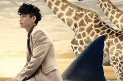 魏晨新专辑白日梦想家东西方风格融合 鼓励将梦想照进现实 