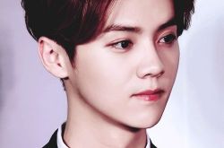 有点儿意思歌曲获得网友喜爱 歌词竟源自鹿晗口头禅 