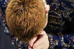 萧敬腾歌曲介绍 《我想和你唱》现场嗨唱经典 