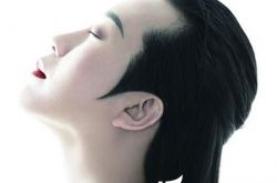 李李玉刚歌词  化用诗词典故36处 