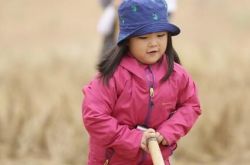 节目爸爸去哪儿王诗龄集锦 女儿被造谣抹黑惹怒王岳伦 