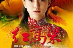 红高梁主题曲九儿原唱是谁  周迅完美诠释富有灵性的九儿 