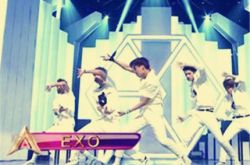 星动亚洲exo模仿引粉丝不满 要求节目组发文道歉 