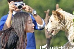 李宇春演过的综艺节目 奇妙的朋友开播 