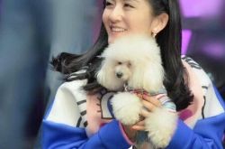 快本谢娜录节目发飙和导演翻脸 一姐靠什么留住观众 