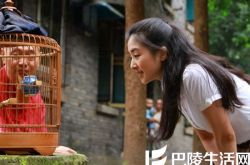 初恋未满歌词欣赏 共同回忆最美好的十八岁 