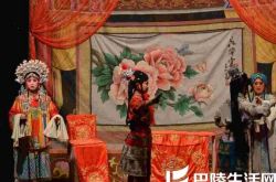 农村戏曲电影豫剧敬老院的故事将映 任宏恩张宝英联袂主演 