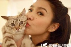 薛凯琪十年后的我歌词欣赏 感慨大梦骤醒已十年 