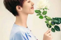 曾沛慈傻瓜歌词欣赏 揪心演绎直击柔软的内心 