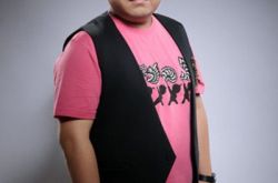 葛林林中鸟歌词赏析 致敬奋斗在路上的每个人 