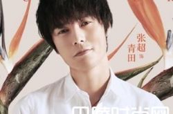 夏至未至大结局番外 遇见青田为什么分手最后在一起了吗