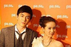 刘诗诗林更新电视剧有哪些 林更新追过刘诗诗吗