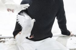 刘涛登杂志双封面 揭秘欢乐颂幕后故事原来为这样