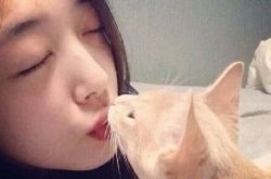 崔雪莉直播引虐猫质疑恶心画面令人观感不适 与金秀贤real脱光了上演19禁