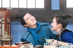 将军在上全集剧情介绍 原著小说结局叶昭生双胞胎