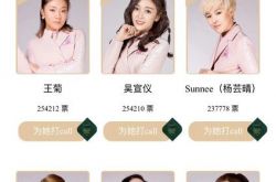 《创造101》大妈选手逆袭冲微博第一