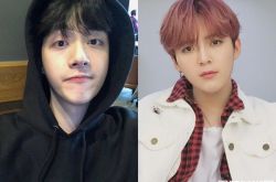 洪欣17岁儿莫镐廉出道喊卡 《以团之名》无限期暂停