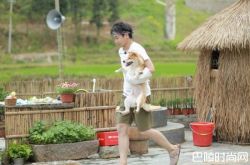 向往的生活彭昱畅何炅什么关系 是谁再捧彭昱畅呢