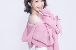 《超级偶像》历届冠军近况曝光