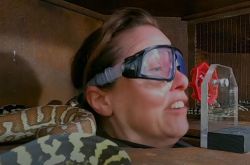 英国真人秀I'M A Celebrity玩大了 放蛇咬鼻子脸