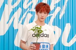 青你3余景天后援会遭点名 非法集资打榜