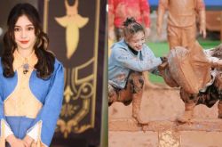 Angelababy疯传退出《奔跑吧》  经纪人疑发文暗杠节目