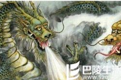 世界上有龙吗 真的有人亲眼见过龙!