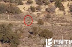 葡萄牙惊现人形怪兽 站着走的怪物还会吸人血？