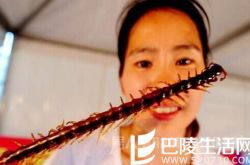 迷信“以毒攻毒” 大妈吃10余只蜈蚣身亡