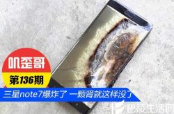 【叽歪哥 V0.136】三星note7爆炸了 一颗肾就这样没了