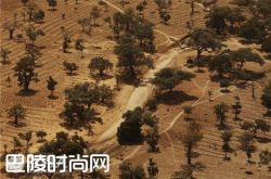 马里多贡简介 西部高地之路简介|塔拉曼卡山脉简介 美国大峡谷简介