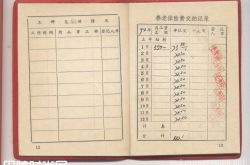 缴交养老金查账时缩水 官员私人账户骗取千万养老金