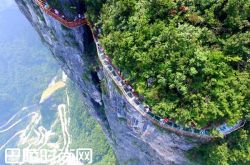 张家界盘龙崖玻璃栈道 张家界大峡谷玻璃桥|张家界天门山玻璃栈道 平江石牛寨玻璃栈道