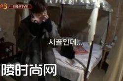 新西游记3安宰贤随时随地发狗粮 安宰贤老婆具惠善是谁