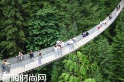 加拿大卡普兰奴吊桥 上海环球金融中心观光台|美国威利斯塔观景台 新加坡空中花园