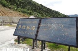 鲁朗林海简介 鲁朗林海旅游攻略|鲁朗林海美食攻略 鲁朗林海景区