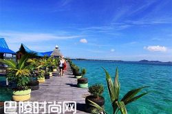 马来西亚婆罗洲岛 哥斯达黎加可可岛|秘鲁热带雨林 夏威夷毛伊岛