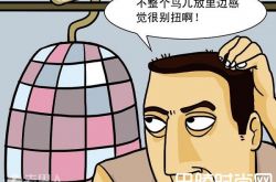 鸟笼逻辑是什么 墨菲定律是什么|责任分散效应是什么 帕金森定律是什么