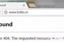 乐天称其中国官网疑遭黑客入侵致瘫痪 外交部:仅是猜测