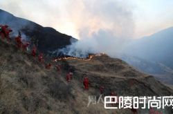 四川雅江县境内发生森林火灾 过火面积已有约20公顷