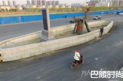 道路最牛钉子树：立于城市主干道 车辆行人为其让路