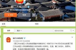 丽江"女游客遭暴打毁容"案 法院已受理