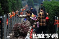 南京公墓推出代客扫墓服务 还能网上观看实时直播