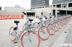 北京西城禁止停放共享单车 共享单车停到哪儿才合适？