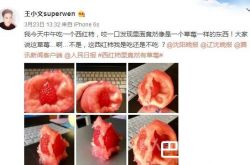 西红柿里吃出草莓 这可能是个假西红柿