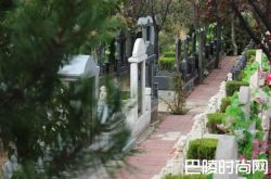 职业扫墓人不仅代替扫墓还能“替哭”费用分3个等级