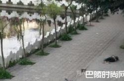 泸县太伏中学学生死亡事件真相揭秘：尸检调查结果公布