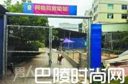 卖深圳两套房养百余流浪狗值得吗？当事人：我从不后悔